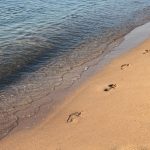 Cerere mare pentru cazare în stațiunile românești de la mare în programul Litoralul pentru toți 2025